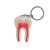Брелок зуб моляр нерви YK-004 - фотография . Купить с доставкой в интернет магазине Dlx.ua.