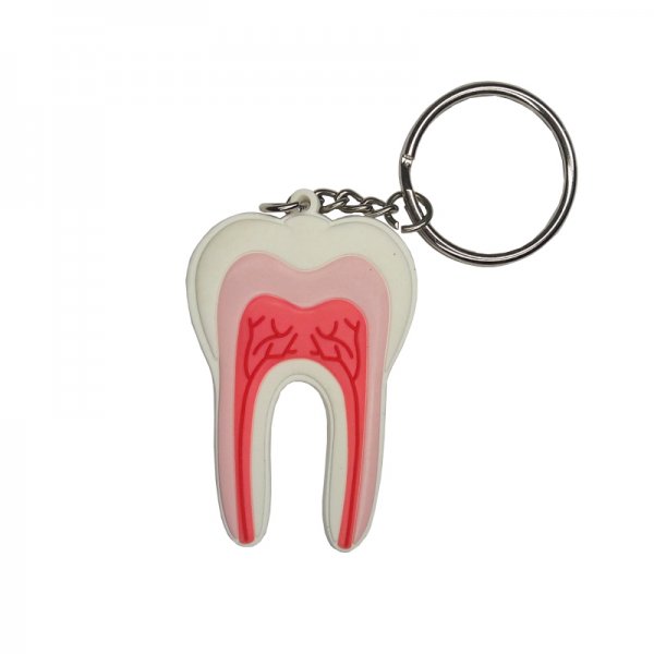 Брелок зуб моляр нерви YK-004 - фото . Купити з доставкою в інтернет магазині Dlx.ua.