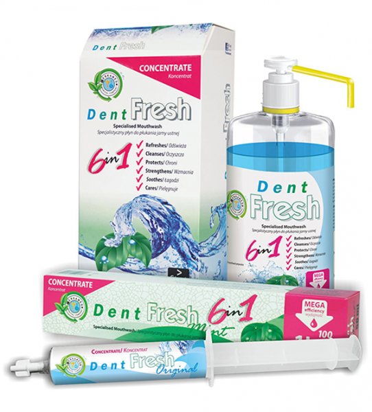 DENT FRESH Mint Start Pack (Дент Фреш) 50 мл + 1 л - фотография . Купить с доставкой в интернет магазине Dlx.ua.