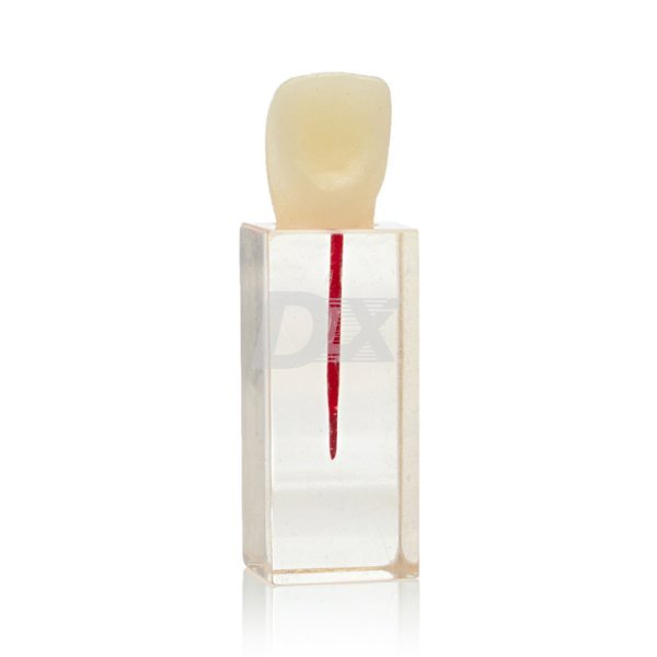 Ендоблок тренувальний (різець, один канал) HST-N5/1 - фотография . Купить с доставкой в интернет магазине Dlx.ua.