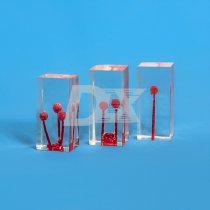 Ендоблок тренувальний, пофарбований з гранулемою, комплект 3 шт HTS-N4