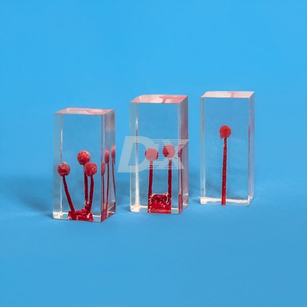 Ендоблок тренувальний, пофарбований з гранулемою, комплект 3 шт HTS-N4 - фото . Купити з доставкою в інтернет магазині Dlx.ua.