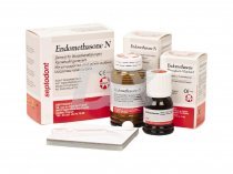 Endomethasone N (Эндометазон H) набор