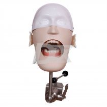 Фантом тренувальний зі струбциною HST–U6