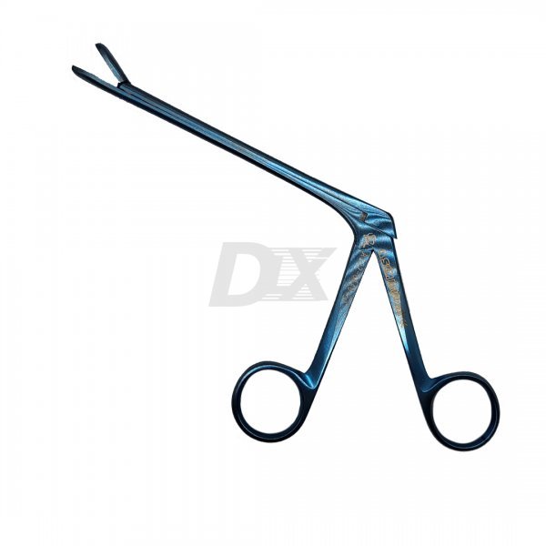 Конхотом WILDE 19 см, Ai 22-6648-19 - фотография . Купить с доставкой в интернет магазине Dlx.ua.