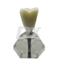 Модель демонстрационная имплант HST Е19-01