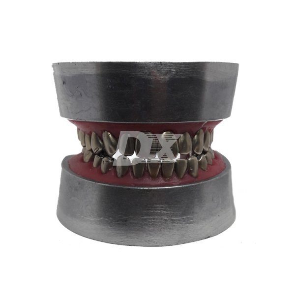 Модель демонстрационная (верх+низ) металл HST-E11 - фотография . Купить с доставкой в интернет магазине Dlx.ua.