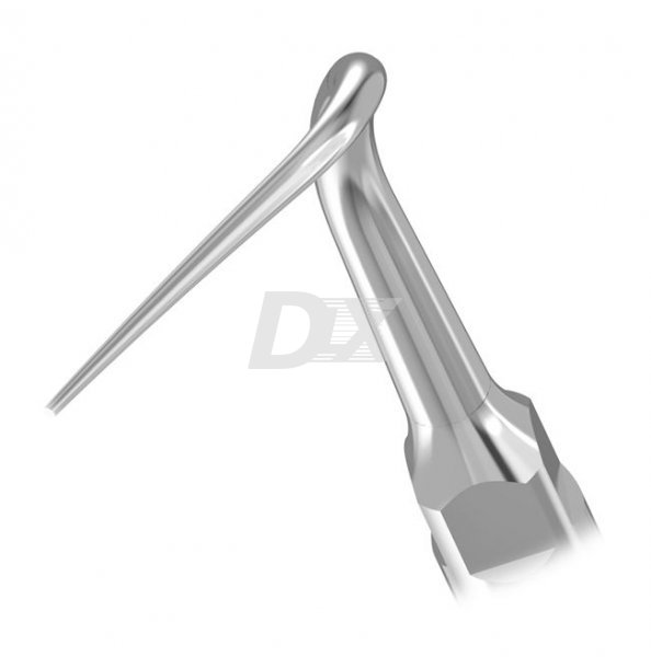 Насадка для скалера P50L - фотография . Купить с доставкой в интернет магазине Dlx.ua.