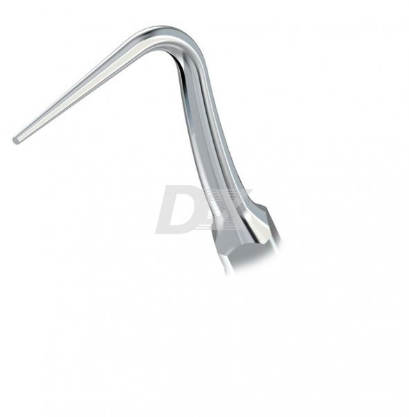 Насадка для скалера P52 - фотография . Купить с доставкой в интернет магазине Dlx.ua.