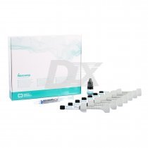 Nexcomp (Некскомп) набір