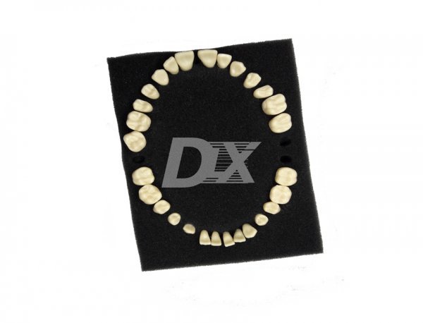 Зуби змінні комплект HST-D6 для HST-A5-01 32 шт - фото . Купити з доставкою в інтернет магазині Dlx.ua.