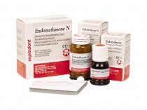 Endomethasone N (Ендометазон H) набір
