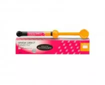 Gradia Direct (Градия Директ) Anterior 4 г A1