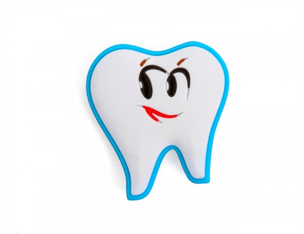 Магнит зуб резиновый 8070303 - фотография. Купить с доставкой в интернет магазине DLX 
