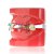 Модель демонстрационная ортодонтическая с керамическими брекетами HTS-B1-03 - фотография 3. Купить с доставкой в интернет магазине Dlx.ua.