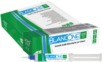 Отбеливание BlancOne HOME Ever KIT 7% (5мл) 6 шпр