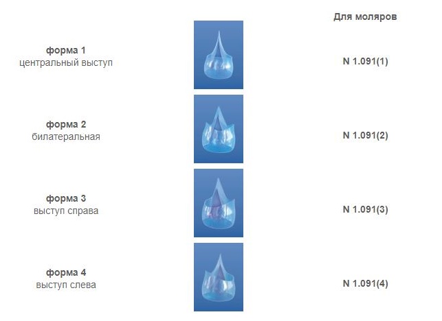Формы к матрицам лавсановым для моляров
